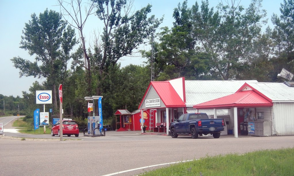 Esso | 462 Chenaux Rd, Foresters Falls, ON K0J 1V0, Canada | Phone: (613) 432-9053