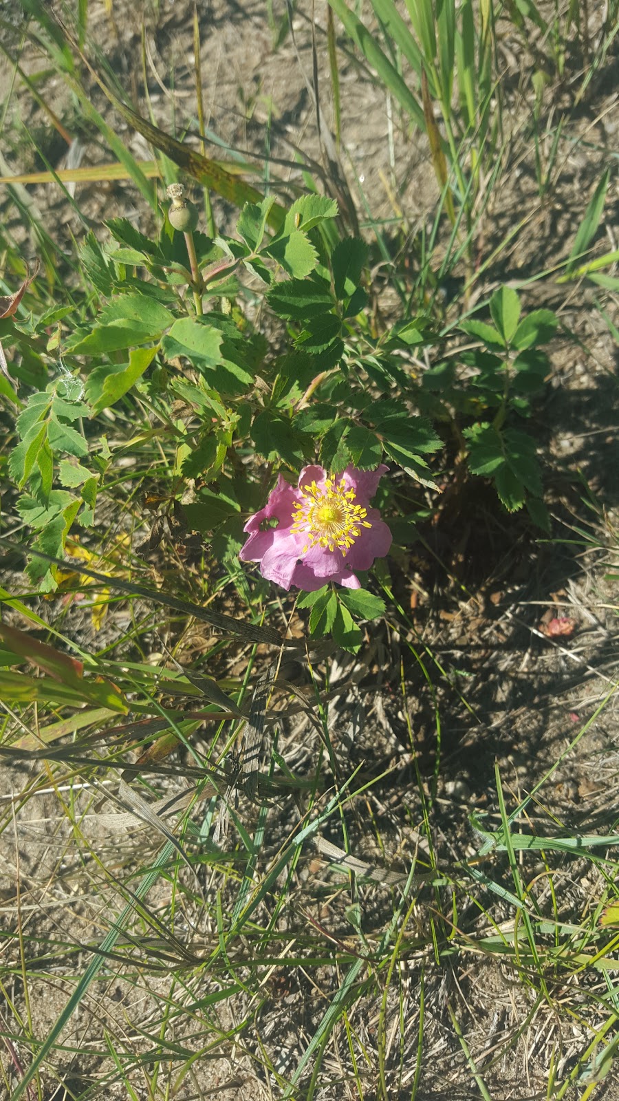White Butte Trails | Pilot Butte, SK S0G 3Z0, Canada