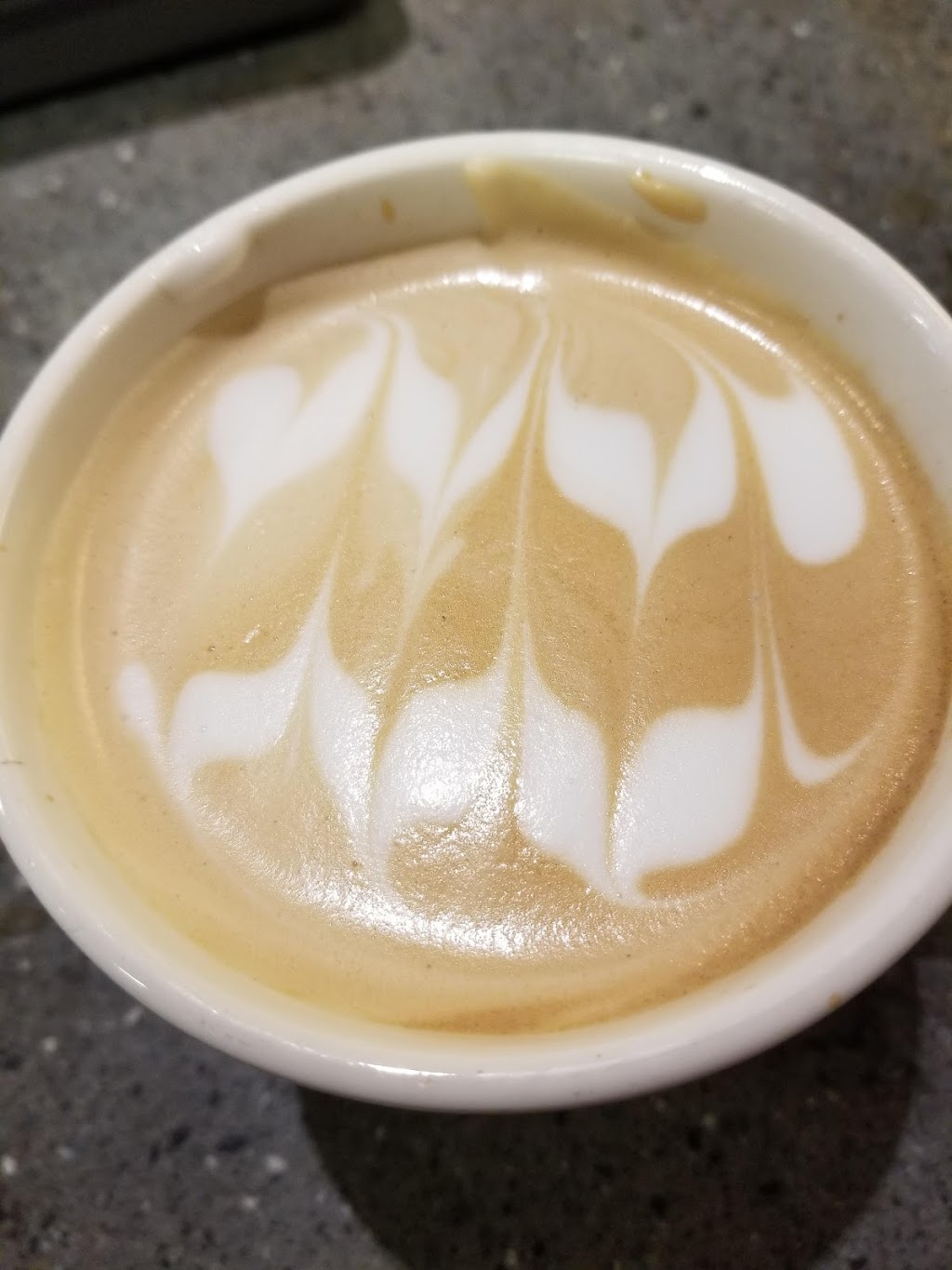 Second Cup Coffee Co. featuring Pinkberry Frozen Yogurt | 8 Millennium Dr, Quispamsis, NB E2E 4B1, Canada | Phone: (506) 849-9678