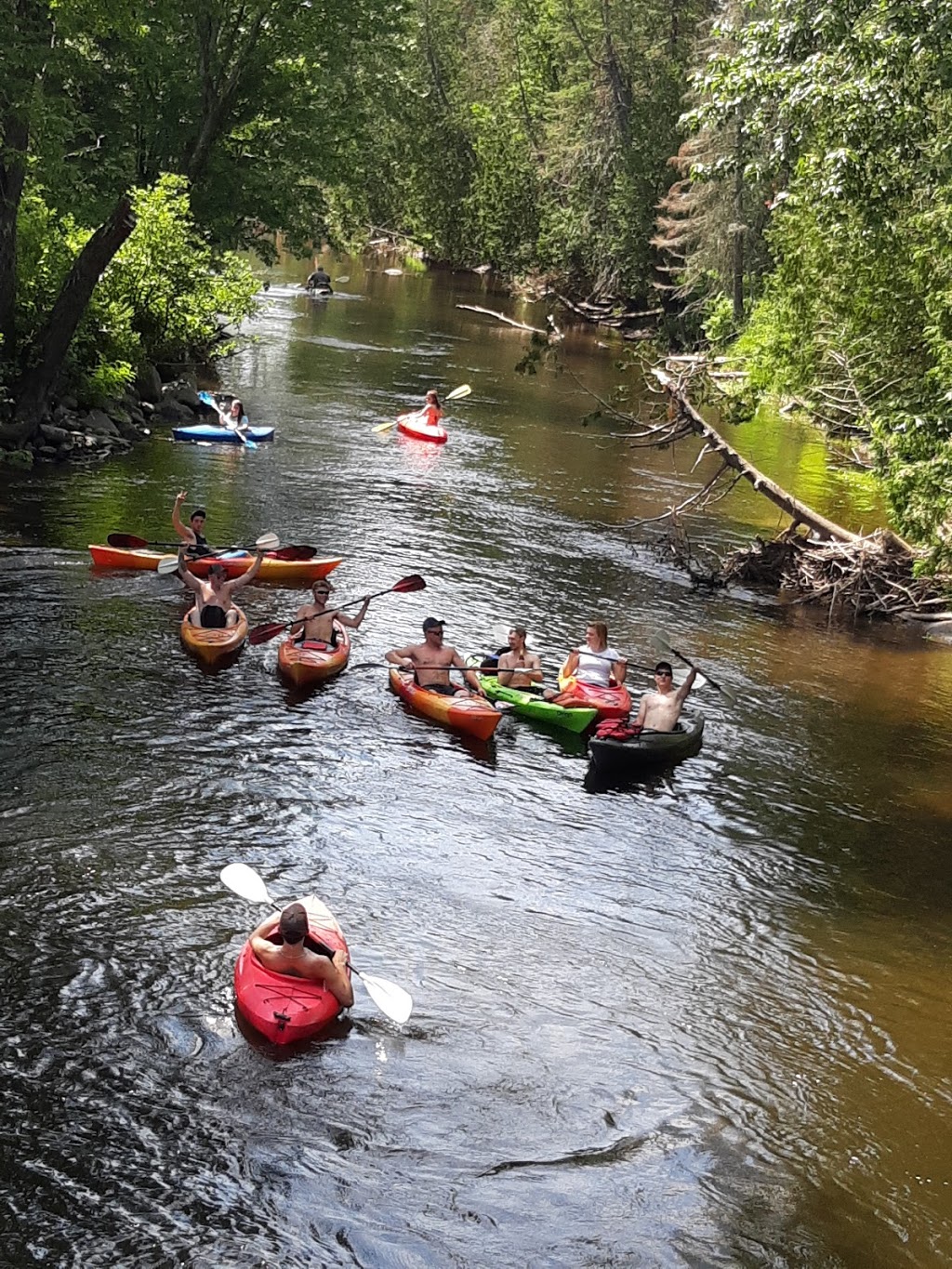 Clyde River Recreation LETS GO KAYAKING | 2314 VT-105, West Charleston, VT 05872, USA | Phone: (802) 895-4333