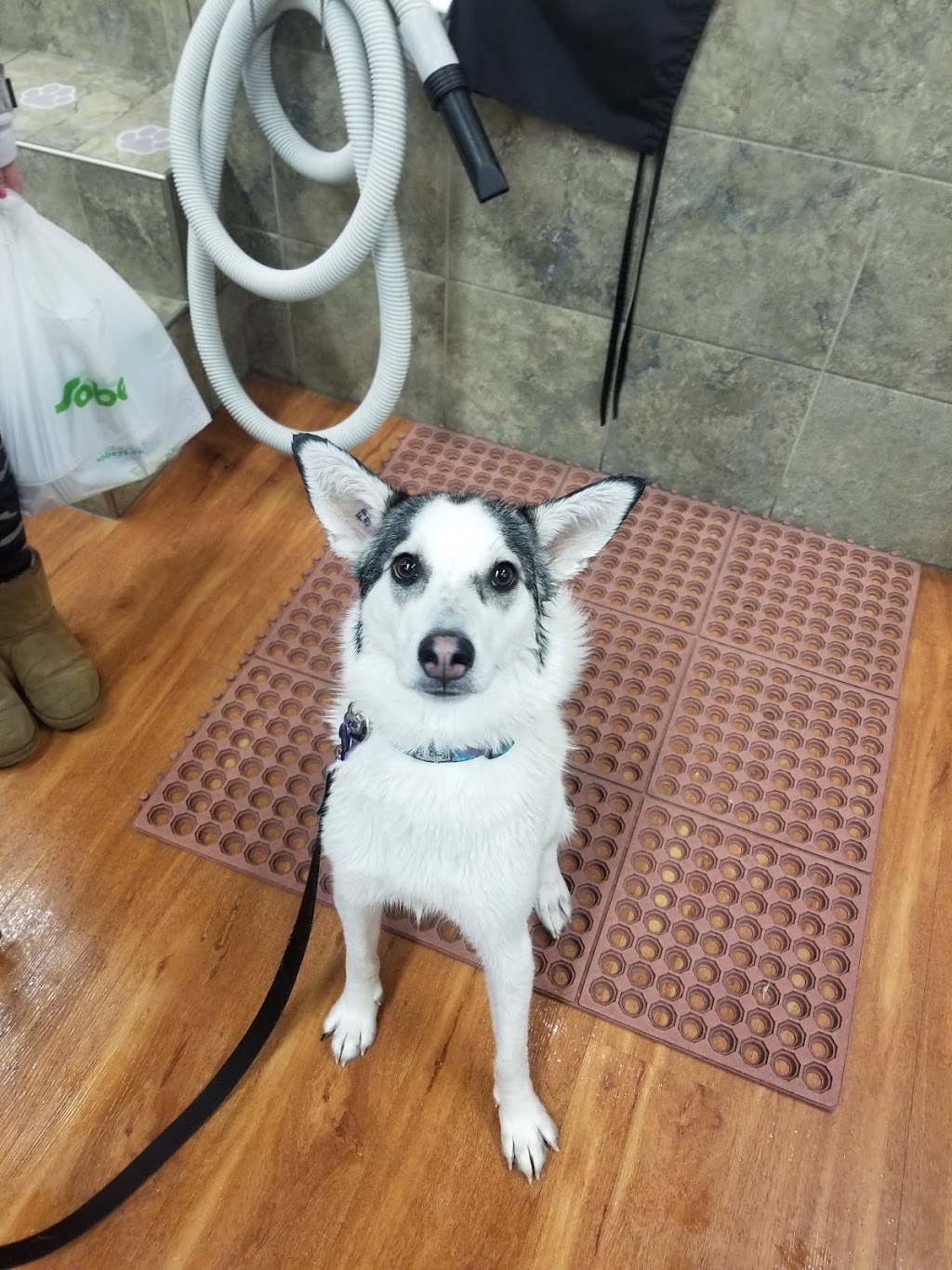 Pet Valu | 3 Reenders Dr, Winnipeg, MB R2C 5K5, Canada | Phone: (204) 654-9955