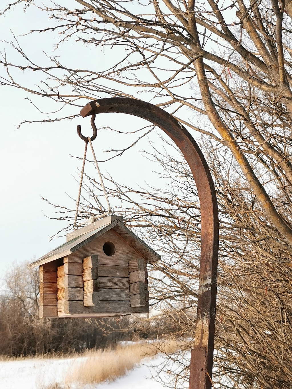 Canswan Farm 天鹅农场 | Unnamed Rd, Kayville, SK S0H 2C0, Key West No. 70, SK S0H 2C0, Canada | Phone: (306) 475-0011