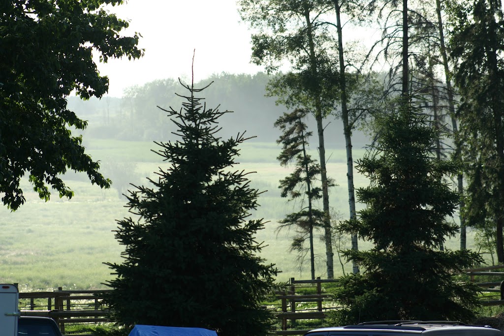 Aspen Fire Farms | Township Road 514, Stony Plain, AB T7Z 1X5, Canada | Phone: (780) 963-8113