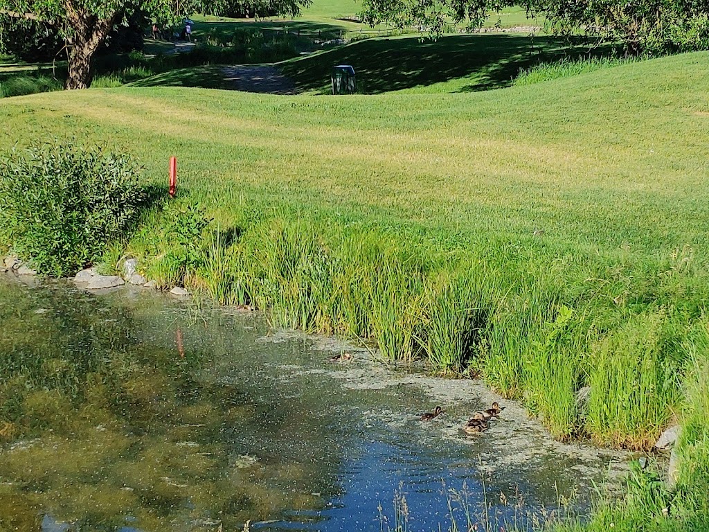 Shaganappi Point Golf Course | 1200 26 St SW, Calgary, AB T3C 1K1, Canada | Phone: (403) 300-1007