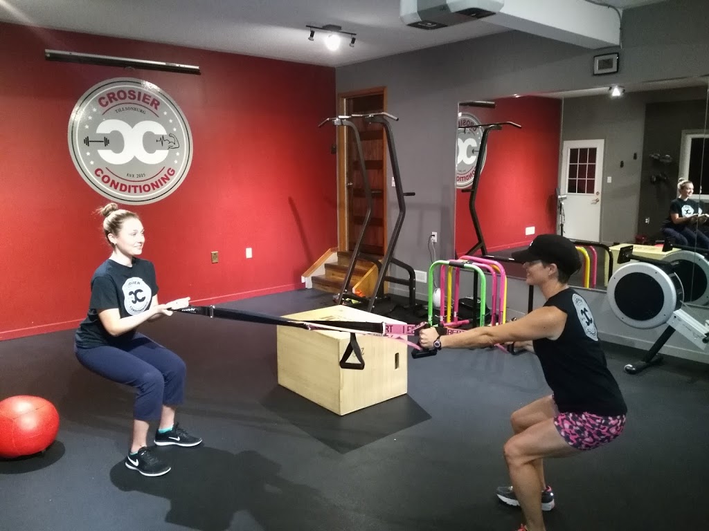Crosier Conditioning | 4 Demeyere Ave, Tillsonburg, ON N4G 4V5, Canada | Phone: (519) 409-0114
