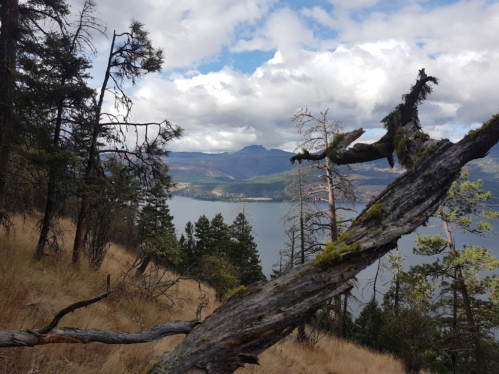 Ellison Provincial Park | Vernon, BC, Canada
