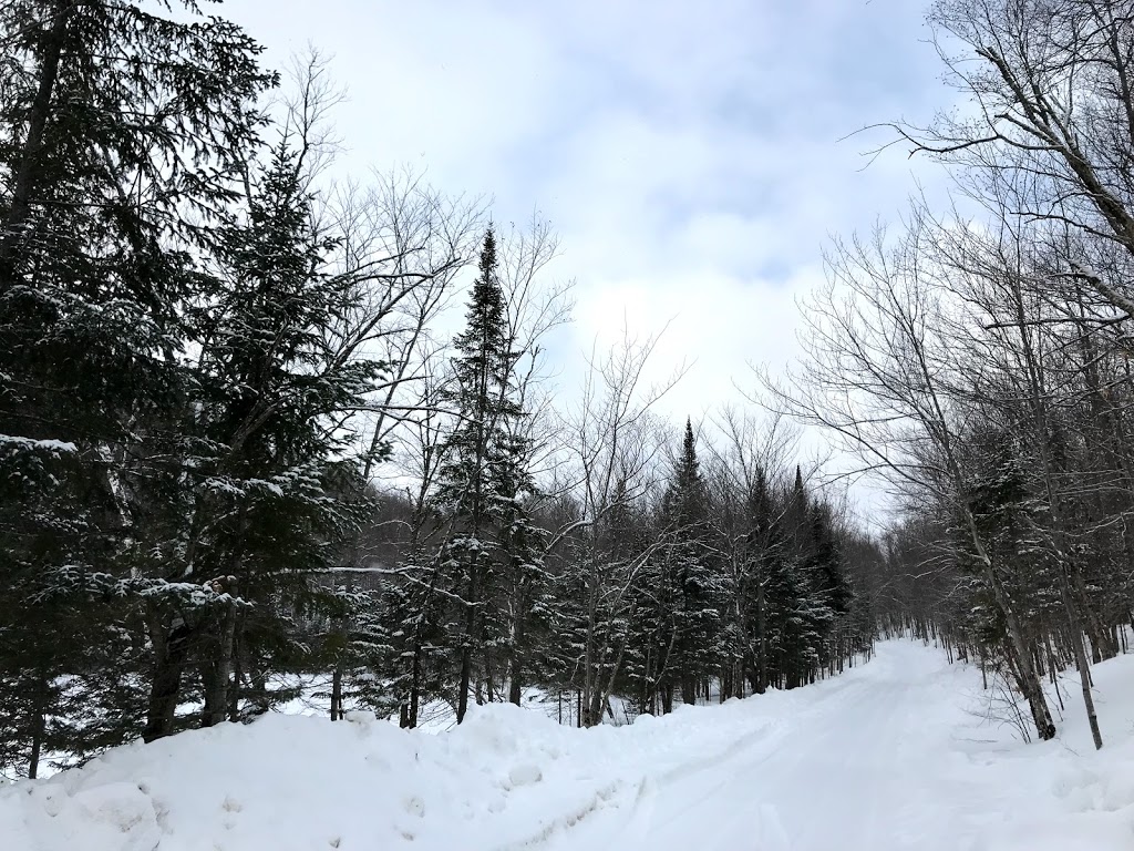 Chalet Des Gélinottes | 3257 Chemin des Gélinottes, Labelle, QC J0T 1H0, Canada | Phone: (514) 606-7524