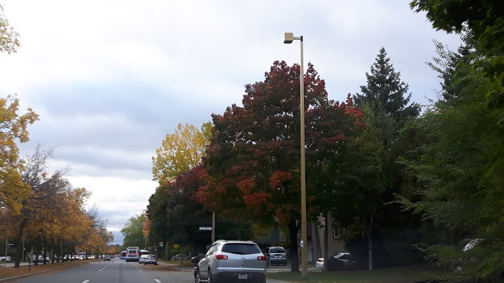 Don-Bosco Park | Montreal, QC H1E 3A9, Canada | Phone: (514) 872-0311