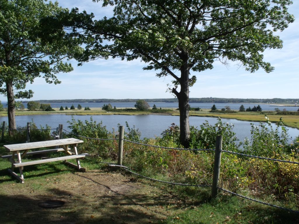 Harbour Light Campground | 2881 Three Brooks Rd, Pictou, NS B0K 1H0, Canada | Phone: (902) 485-5733