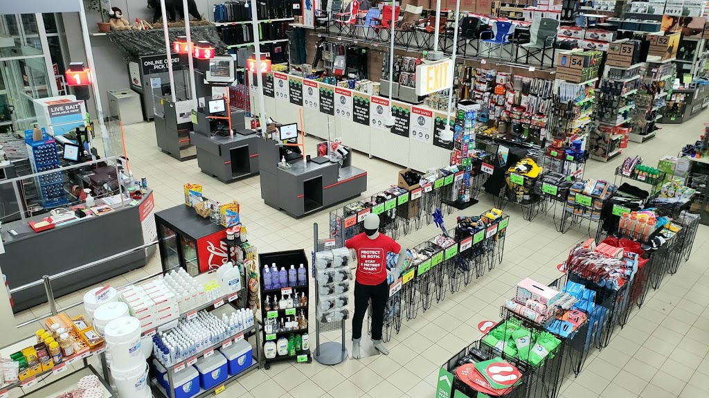 Canadian Tire | Gateway Mall, 138 Main St, Sussex, NB E4E 3E1, Canada | Phone: (506) 433-3201