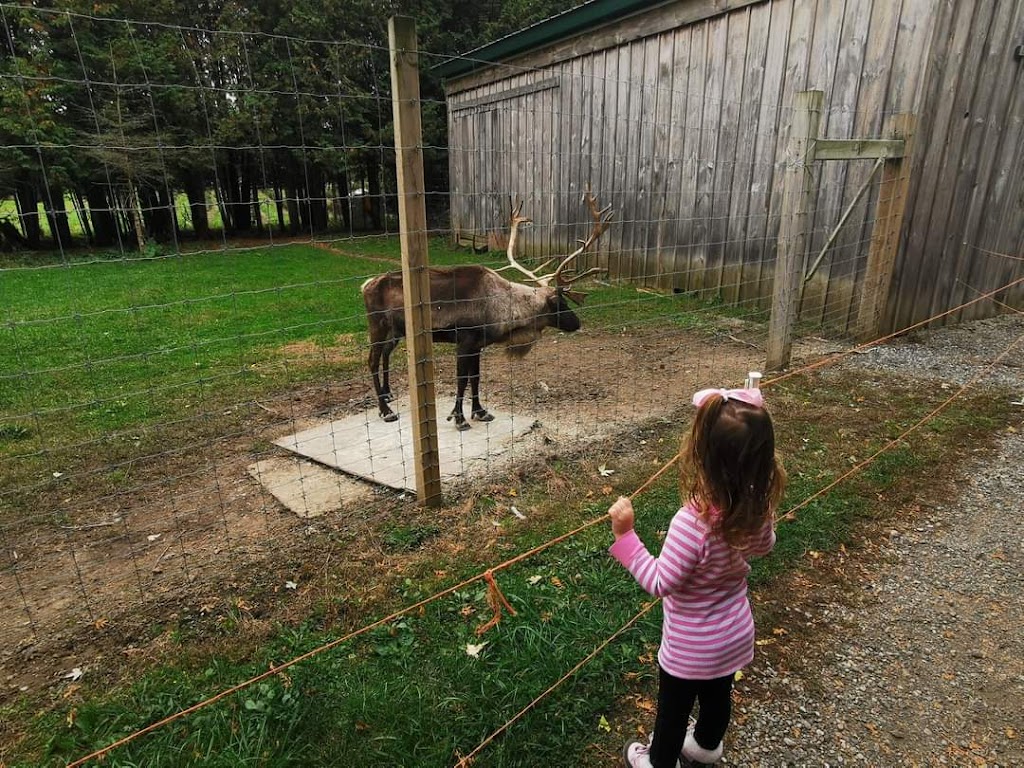 Tree Lane Farms | 13073 Twelve Mile Rd, Ilderton, ON N0M 2A0, Canada | Phone: (519) 666-0154