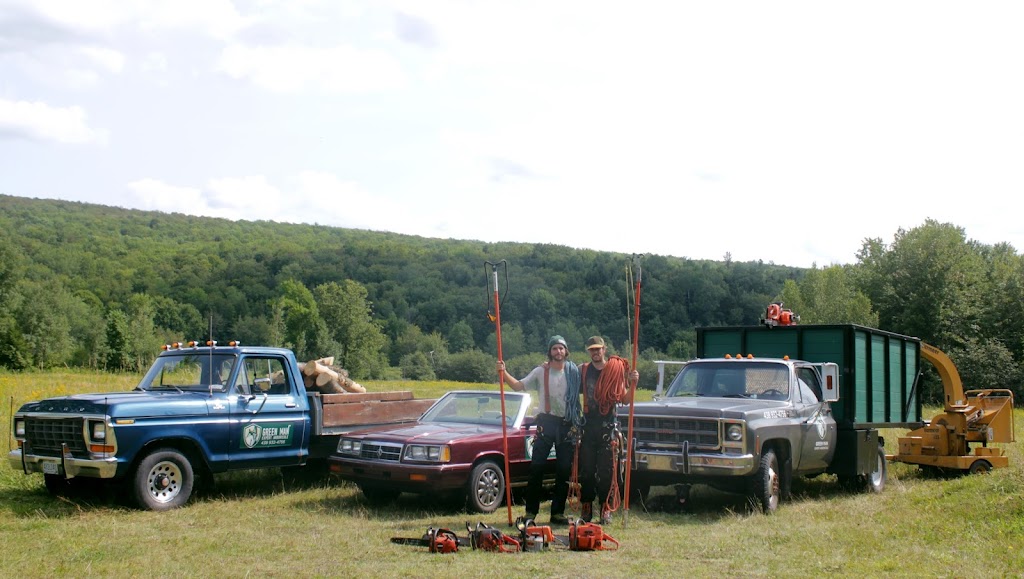 Green Man Expert Arboricole | 157b Rte de Mansonville, Potton, QC J0E 1X0, Canada | Phone: (438) 932-4756