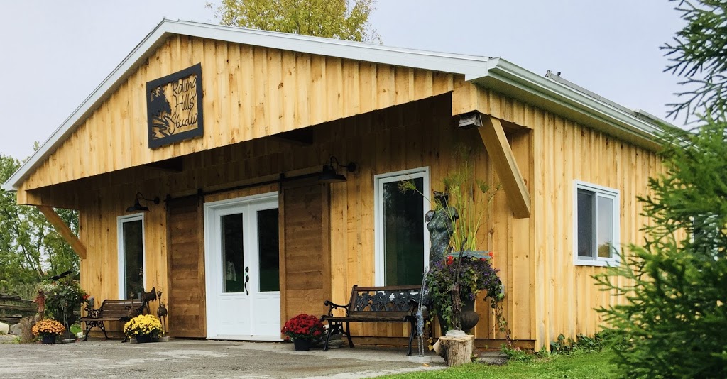 Rolling Hills Studio | S10445 Side Road 17, Sunderland, ON L0C 1H0, Canada | Phone: (416) 884-0812