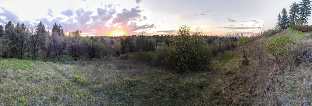 Britannia Off-leash Area | 4403 10 St SW, Calgary, AB T2S 1J4, Canada