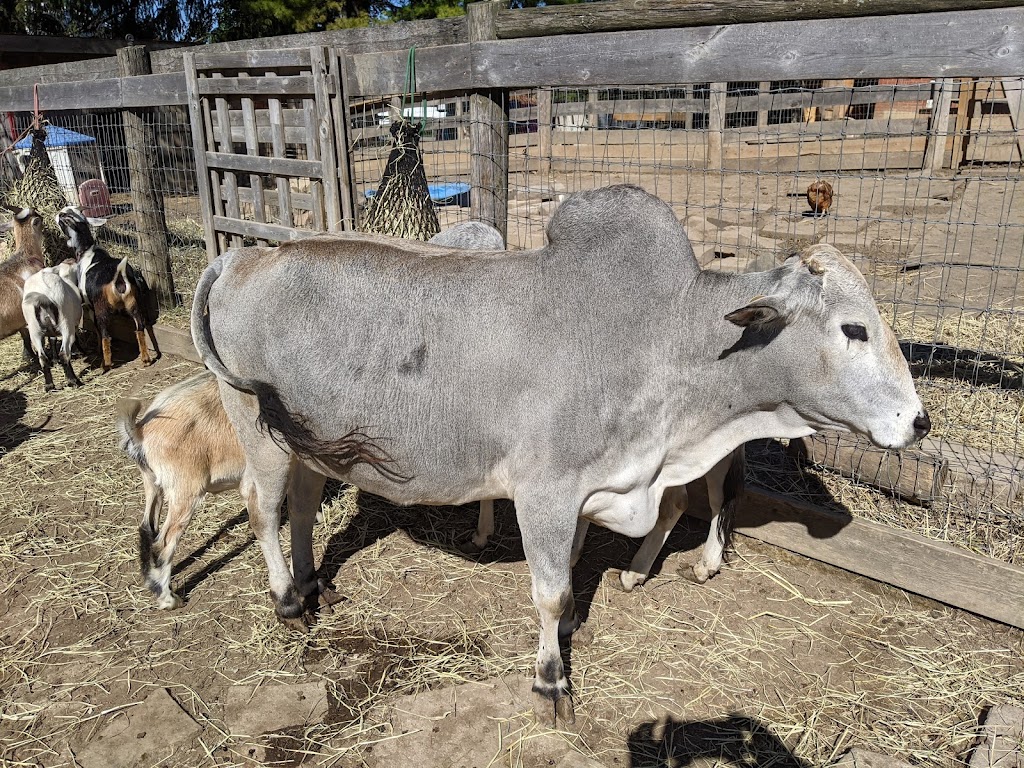 Triple C Farm | 500 Carluke Rd W, Ancaster, ON L9G 3L1, Canada | Phone: (289) 237-9526