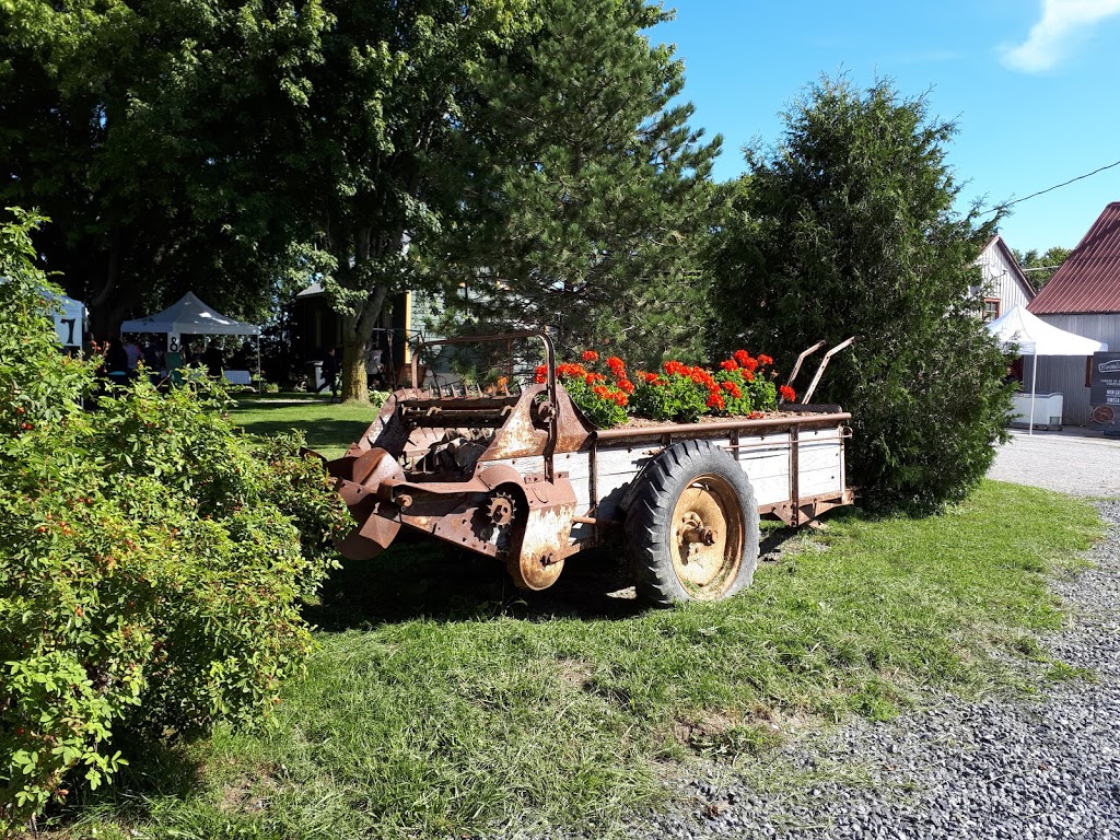 Canard du Village | 724 Rang Double, Saint-Pie, QC J0H 1W0, Canada | Phone: (450) 772-2326