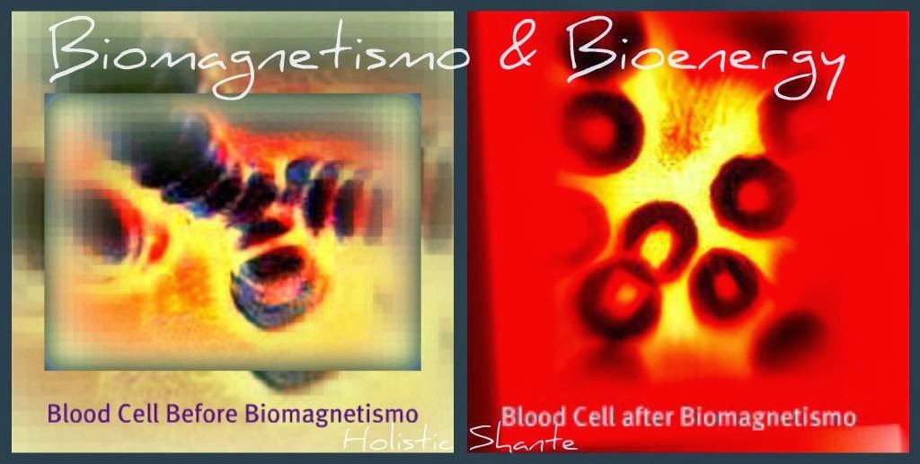 Biomagnetismo.reiki "Holistic Shante" | 3236 Strabane Dr, Mississauga, ON L5C 1W7, Canada | Phone: (905) 566-5569