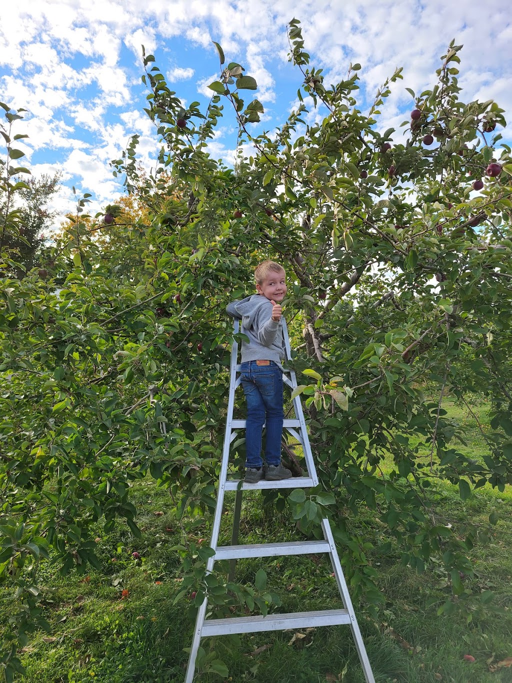 Charlottes Family Orchard | 2287 NB-102, Gagetown, NB E5M 1T5, Canada | Phone: (506) 488-2630