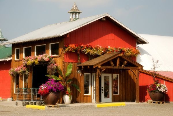 Milner Village Garden Centre | 6690 216 St, Langley City, BC V2Y 2N9, Canada | Phone: (604) 533-7945