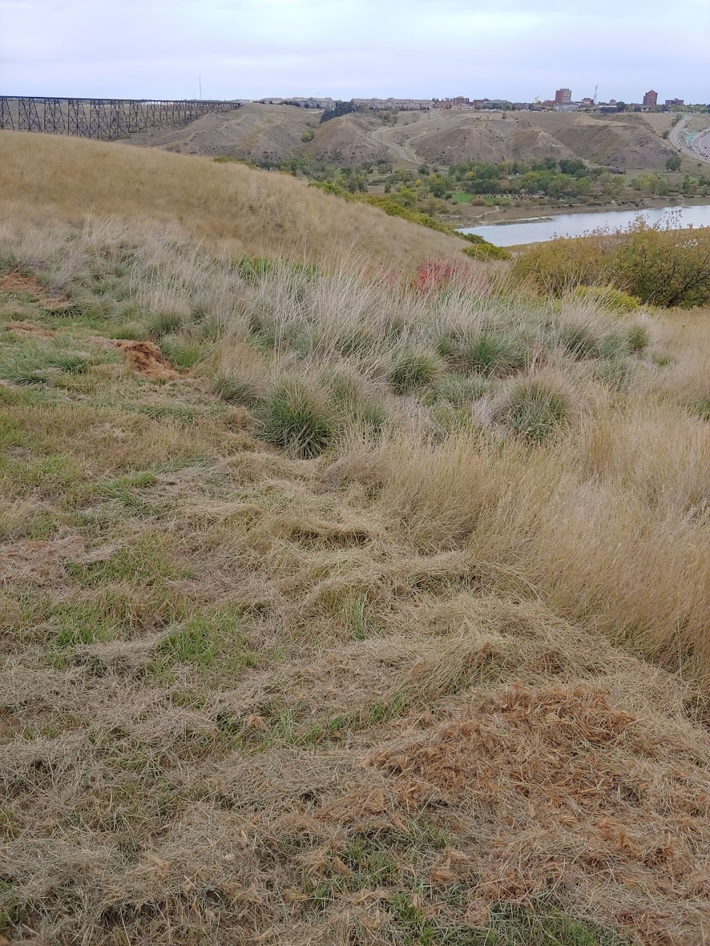 Bull Trail Park North | 153 Coachwood Point W, Lethbridge, AB T1K 6A6, Canada | Phone: (403) 329-7355