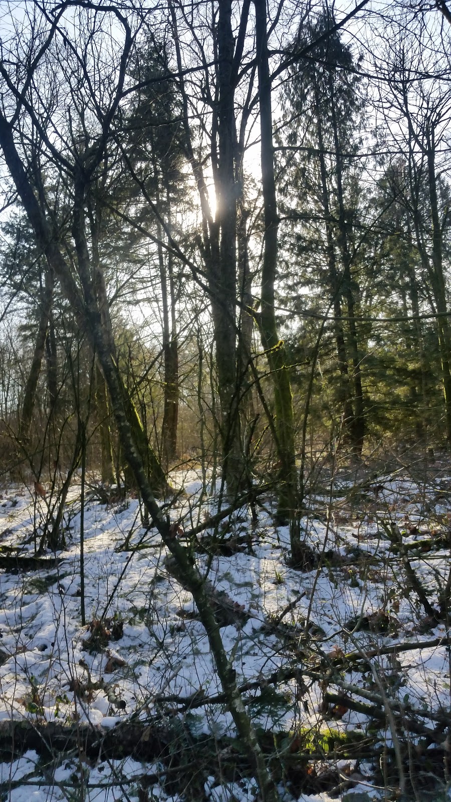 Aldergrove Regional Park | 27240 8 Ave, Aldergrove, BC V4W 2P8, Canada | Phone: (604) 530-4983