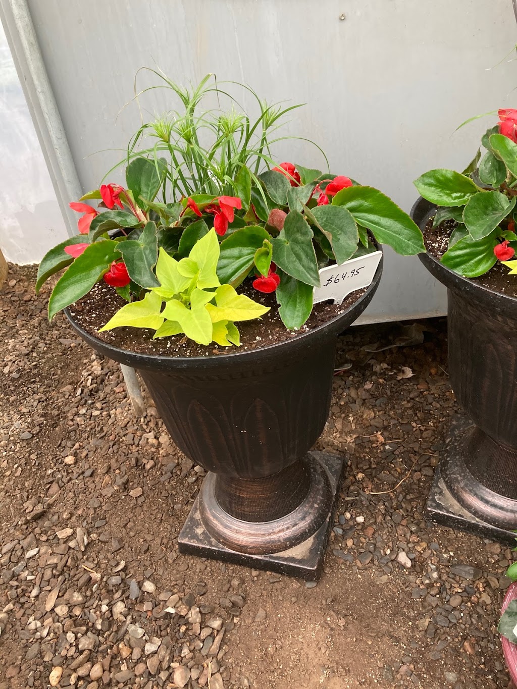 Brooklyn Farms | 5091 Brooklyn St, Berwick, NS B0P 1E0, Canada | Phone: (902) 538-1715