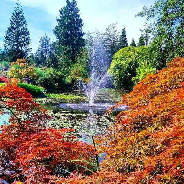 Livingstone Lake | 5251 Oak St, Vancouver, BC V6M 4H1, Canada