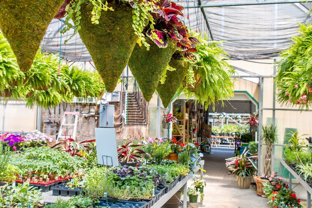 Seasons In The Country | 390 Ecclestone Dr, Bracebridge, ON P1L 1R1, Canada | Phone: (705) 645-5035