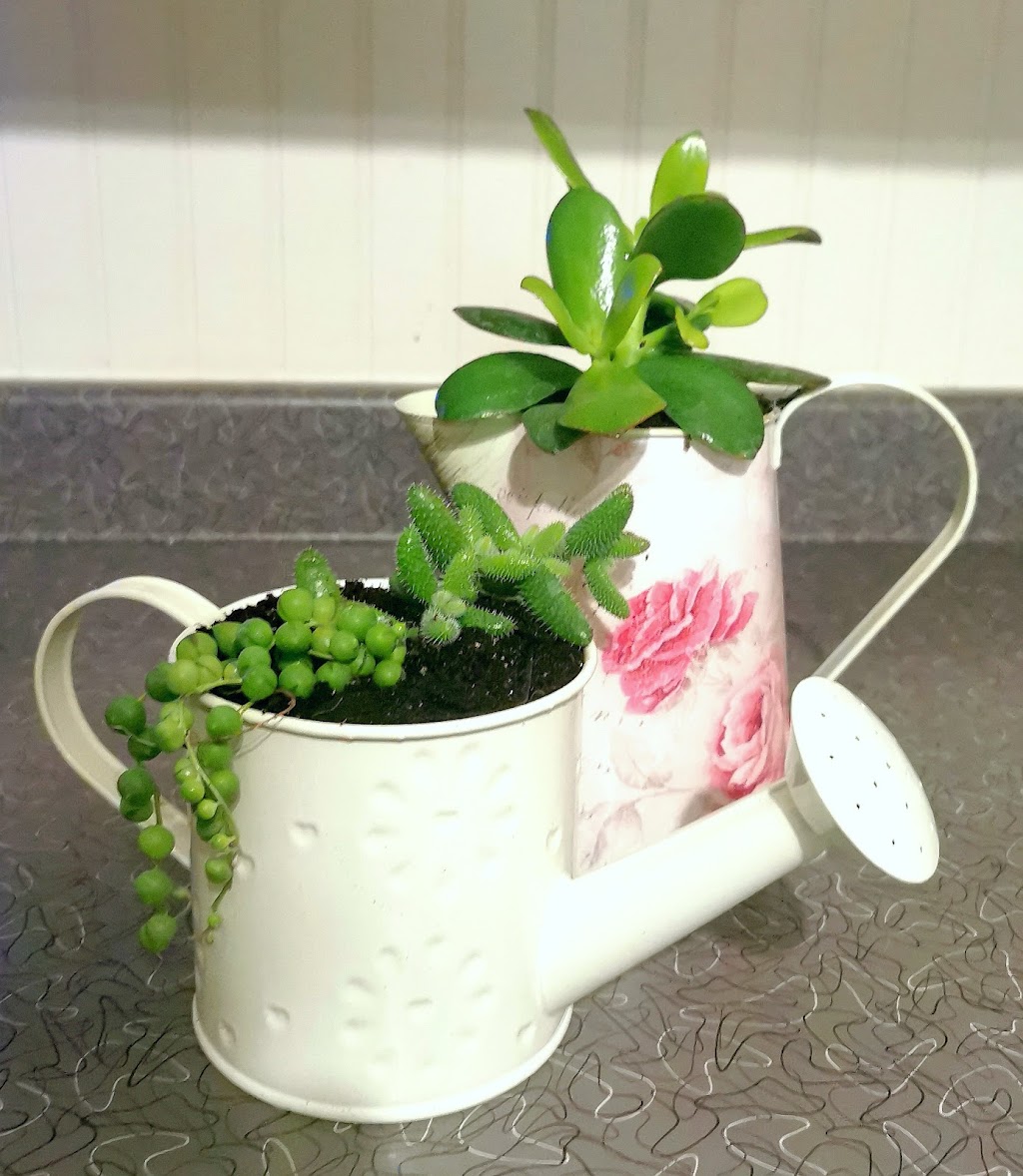 Gardenview Nursery | 341 Old Trunk Rd, Elmsdale, NS B2S 2B3, Canada | Phone: (902) 229-1377