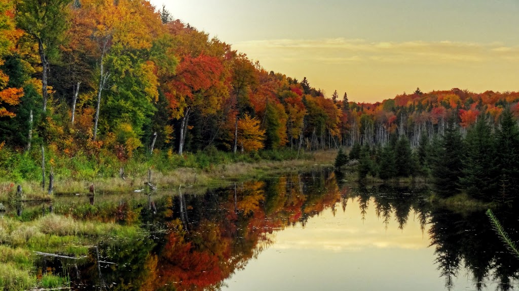 Serenita Spa Auberge | 1130 Rang de la Rivière-aux-Écorces, Saint-Alexis-des-Monts, QC J0K 1V0, Canada | Phone: (819) 265-3288