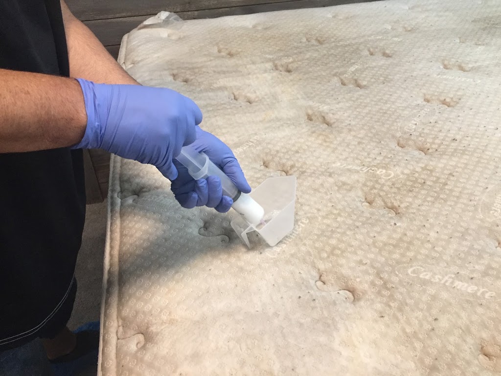 Eco Choice Carpet Cleaning | 46-1874 Parkview Crescent, Kelowna, BC V1X 7G6, Canada | Phone: (778) 581-2450