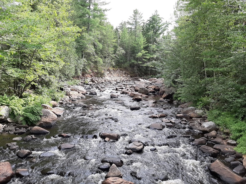 Domaine Appaloosa | 3015 Chemin de la Forêt, Notre-Dame-de-la-Merci, QC J0T 2A0, Canada | Phone: (450) 543-4591