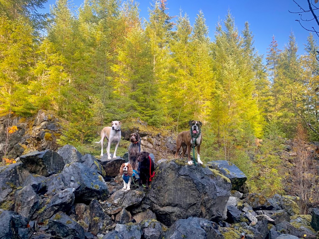 The Common Dog | 13485 Doole Rd, Ladysmith, BC V9G 1G6, Canada | Phone: (250) 889-0286
