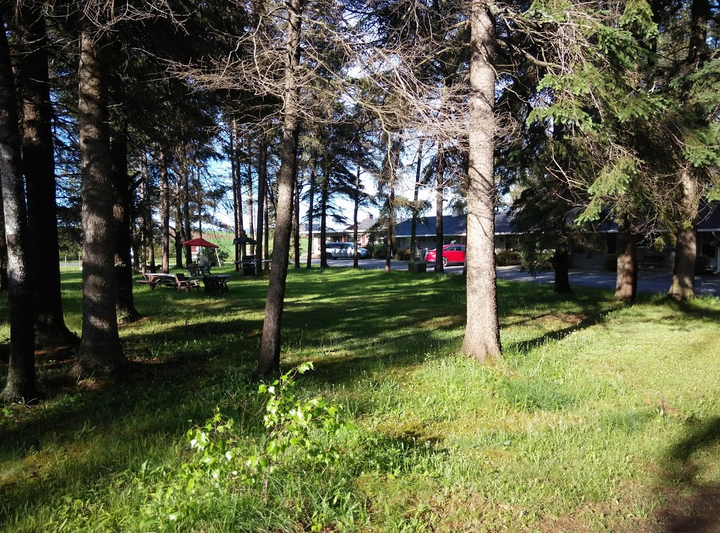 Pinecone Motel | 12808 NB-114, Penobsquis, NB E4G 2Y8, Canada | Phone: (506) 433-3958