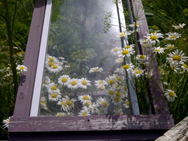 Horvaths Herbs and Friendship Garden | 2538 Vickers Trail, Anglemont, BC V0E 1M8, Canada | Phone: (250) 679-2145
