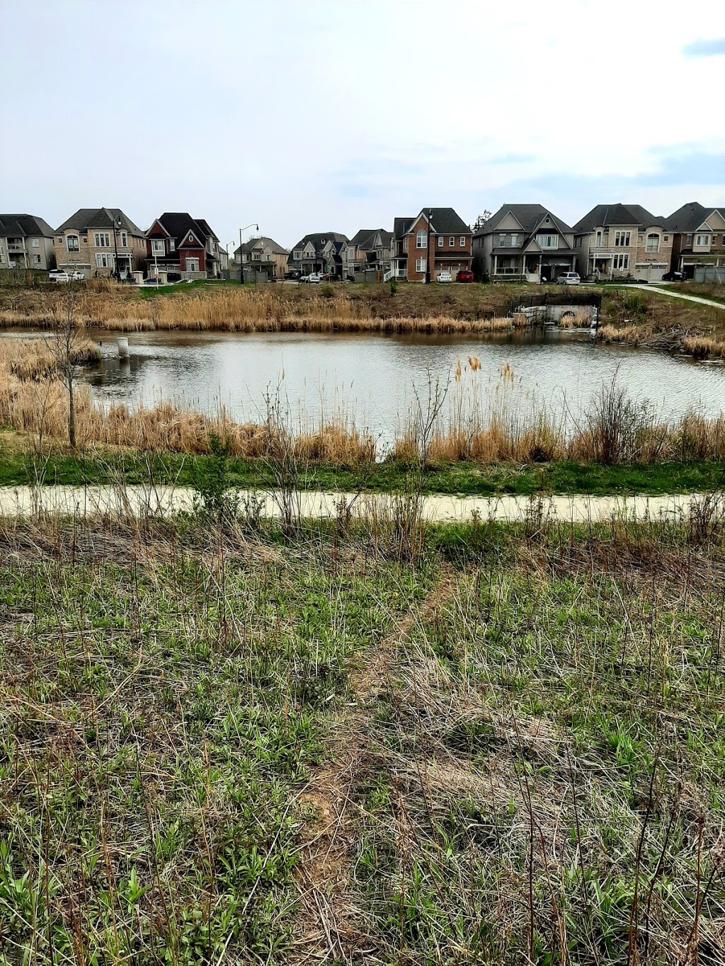 Snuretown Pond West | Brampton, ON L6Y 0G8, Canada | Phone: (905) 874-2000