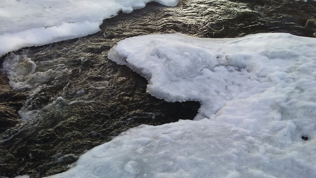 Old Chelsea Picnic Area | 15 Chemin Kingsmere, Chelsea, QC J9B 1G8, Canada | Phone: (613) 239-5678