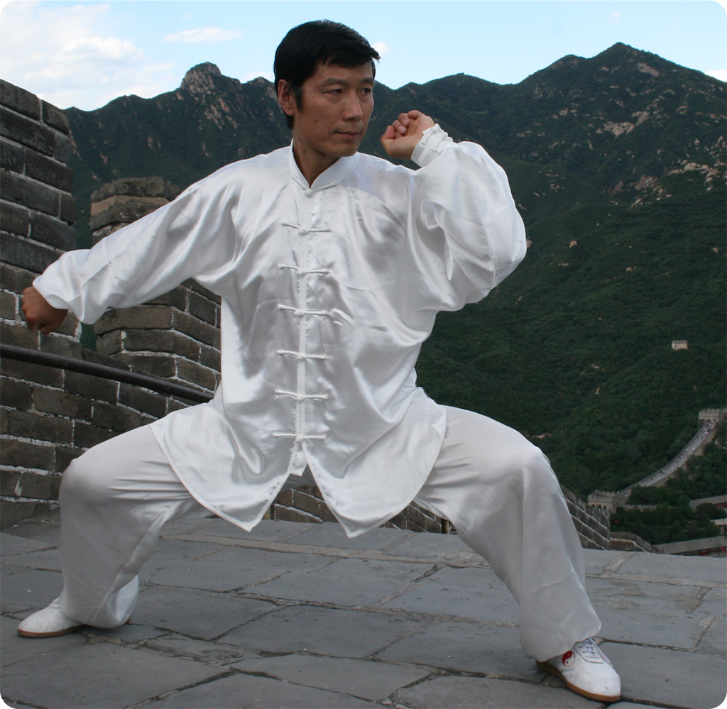 Sino-Wushu TaiChi Kung Fu Academy: Dorval | 1510 Herron Rd, Dorval, QC H9S 1B7, Canada | Phone: (514) 966-9878