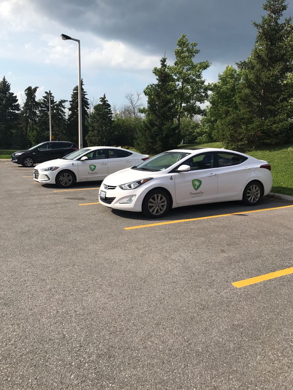 FroggaBio Inc. | 50 Great Gulf Dr Unit 41, Concord, ON L4K 5W1, Canada | Phone: (877) 318-7277