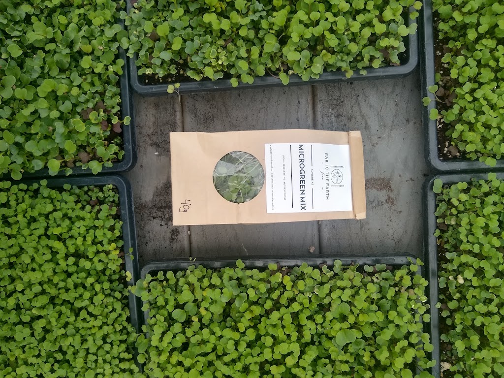 Ear to The Earth Farm | 31170 Range Road 52A #10, Site 2, RR 2, Sundre, AB T0M 1X0, Canada | Phone: (403) 907-4590