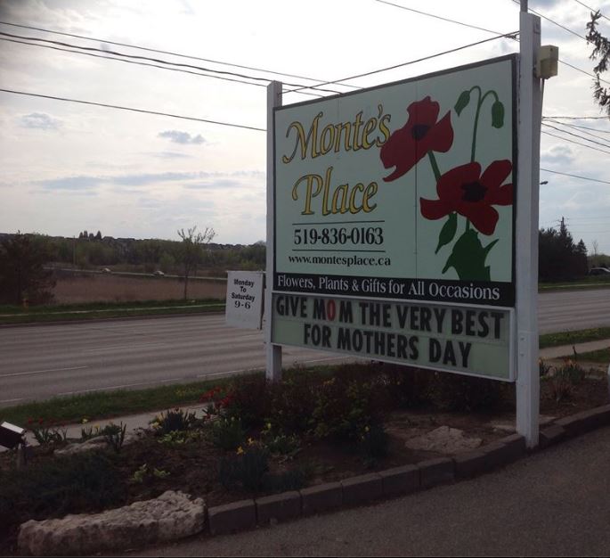 Montes Place Ltd | 1270 Gordon St, Guelph, ON N1L 1H3, Canada | Phone: (519) 836-0163