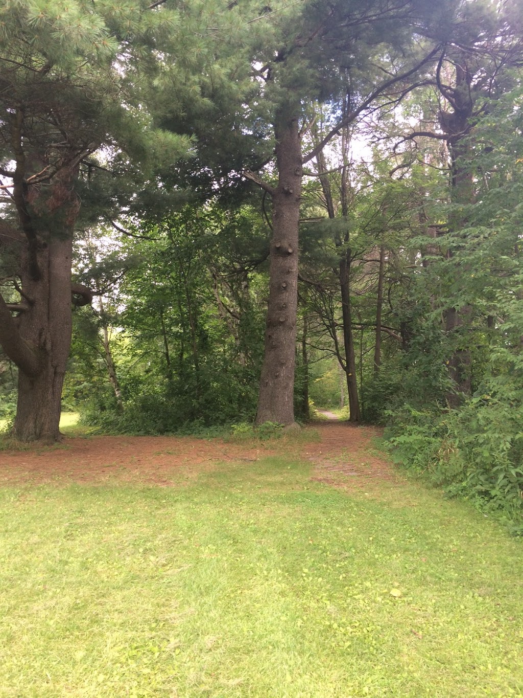 Turtle Trail | North Grenville, ON K0G 1J0, Canada