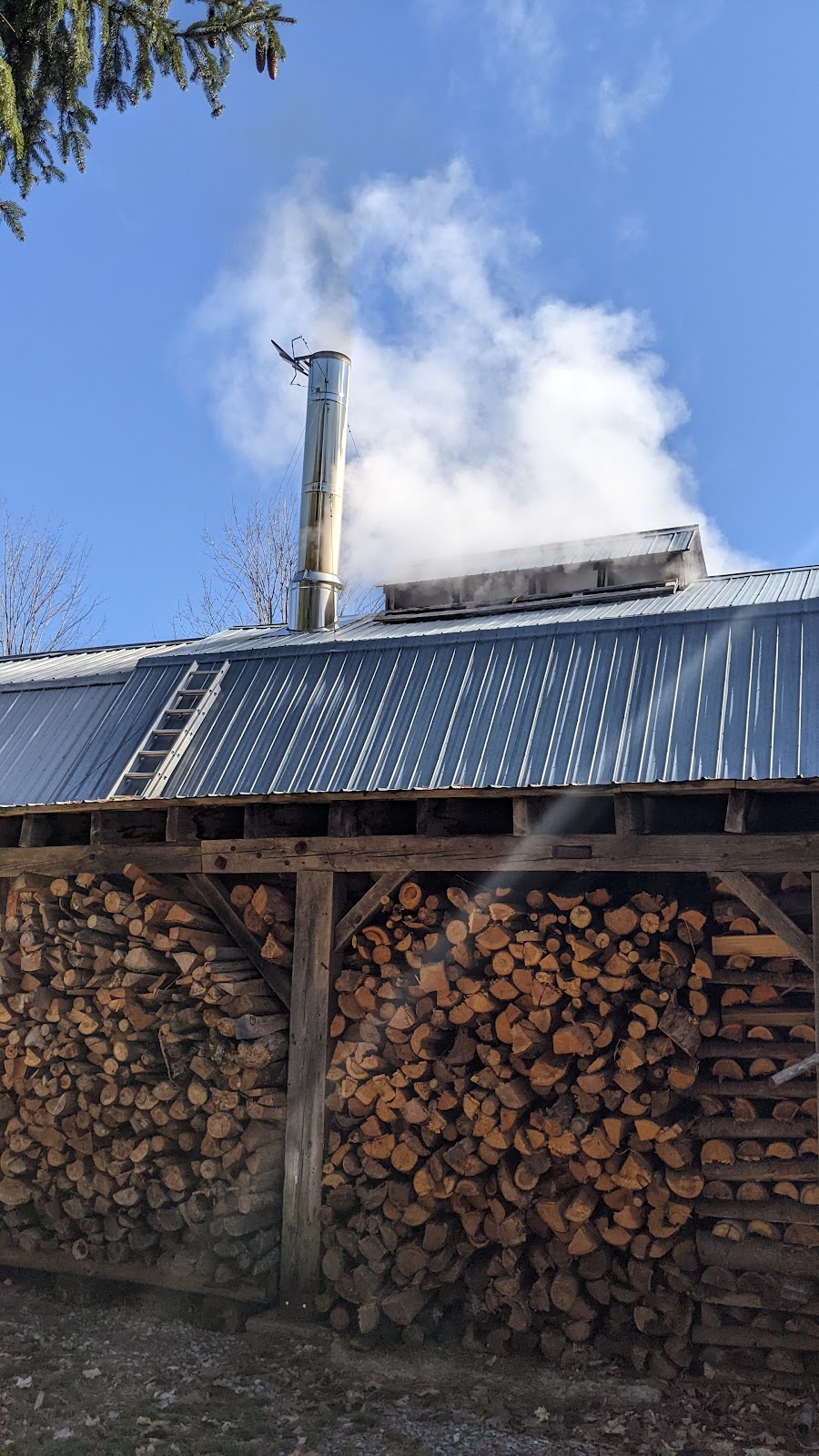Mapleside Sugar Bush | 166 Reiche Rd, Pembroke, ON K8A 6W4, Canada | Phone: (613) 735-2366