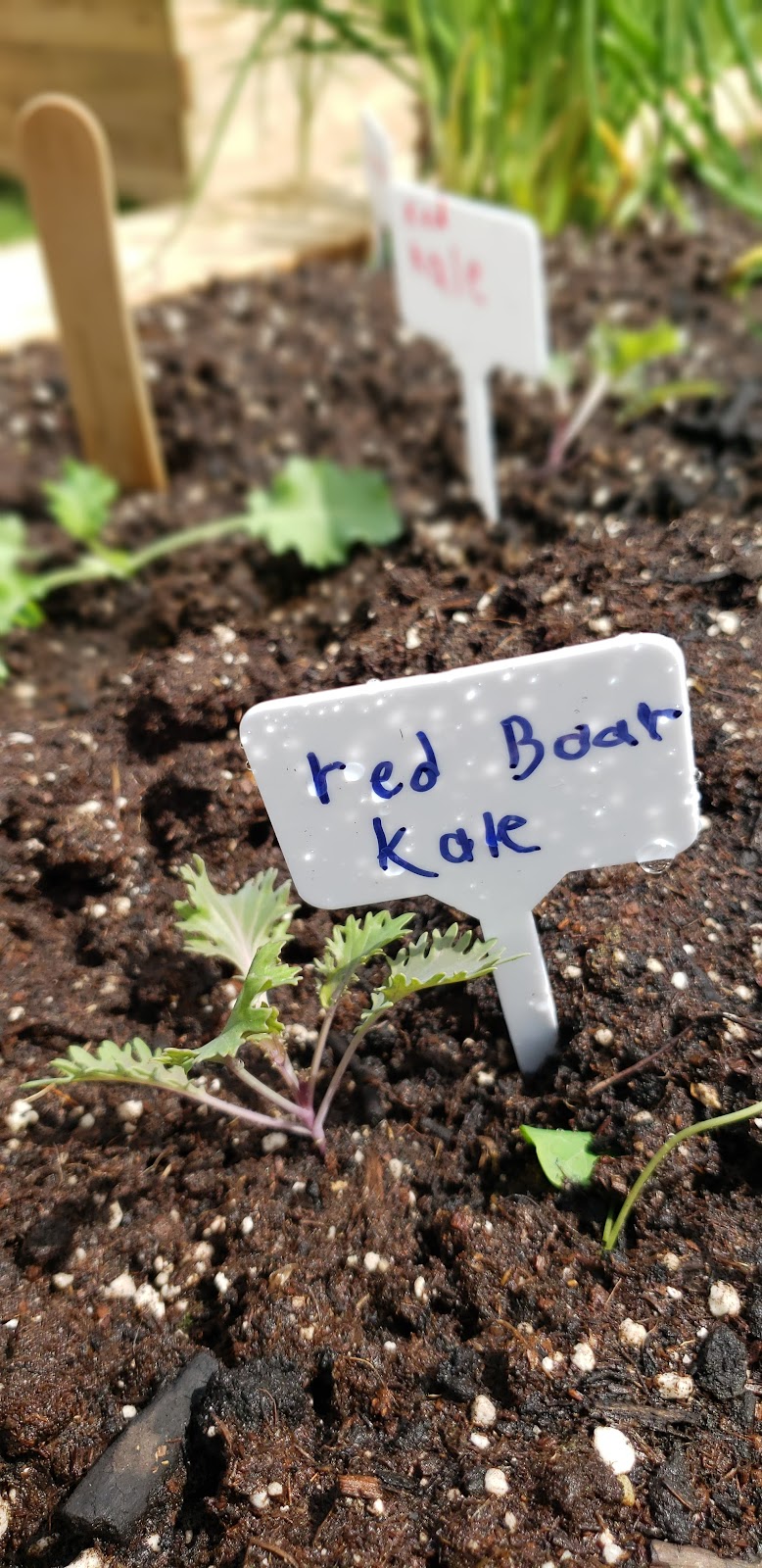 The Childrens Garden Project | 1000 Main St E, Hamilton, ON L8M 1N6, Canada | Phone: (289) 925-8612
