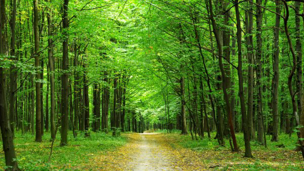 Osteopathy by Carla | 415 River Oaks Blvd W, Oakville, ON L6H 5P7, Canada | Phone: (416) 550-2277