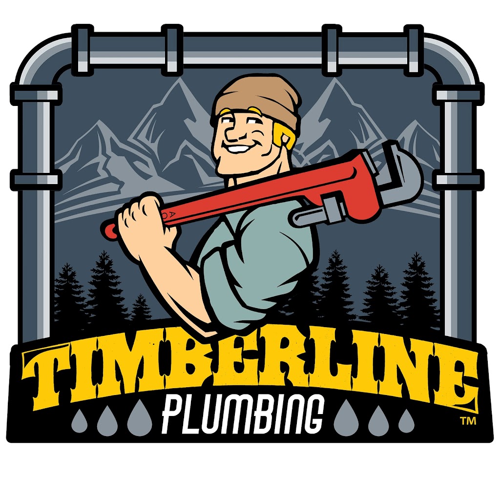 Timberline Plumbing Ltd | 258 Hillcrest Cir SW, Airdrie, AB T4B 0Y6, Canada | Phone: (403) 615-0791