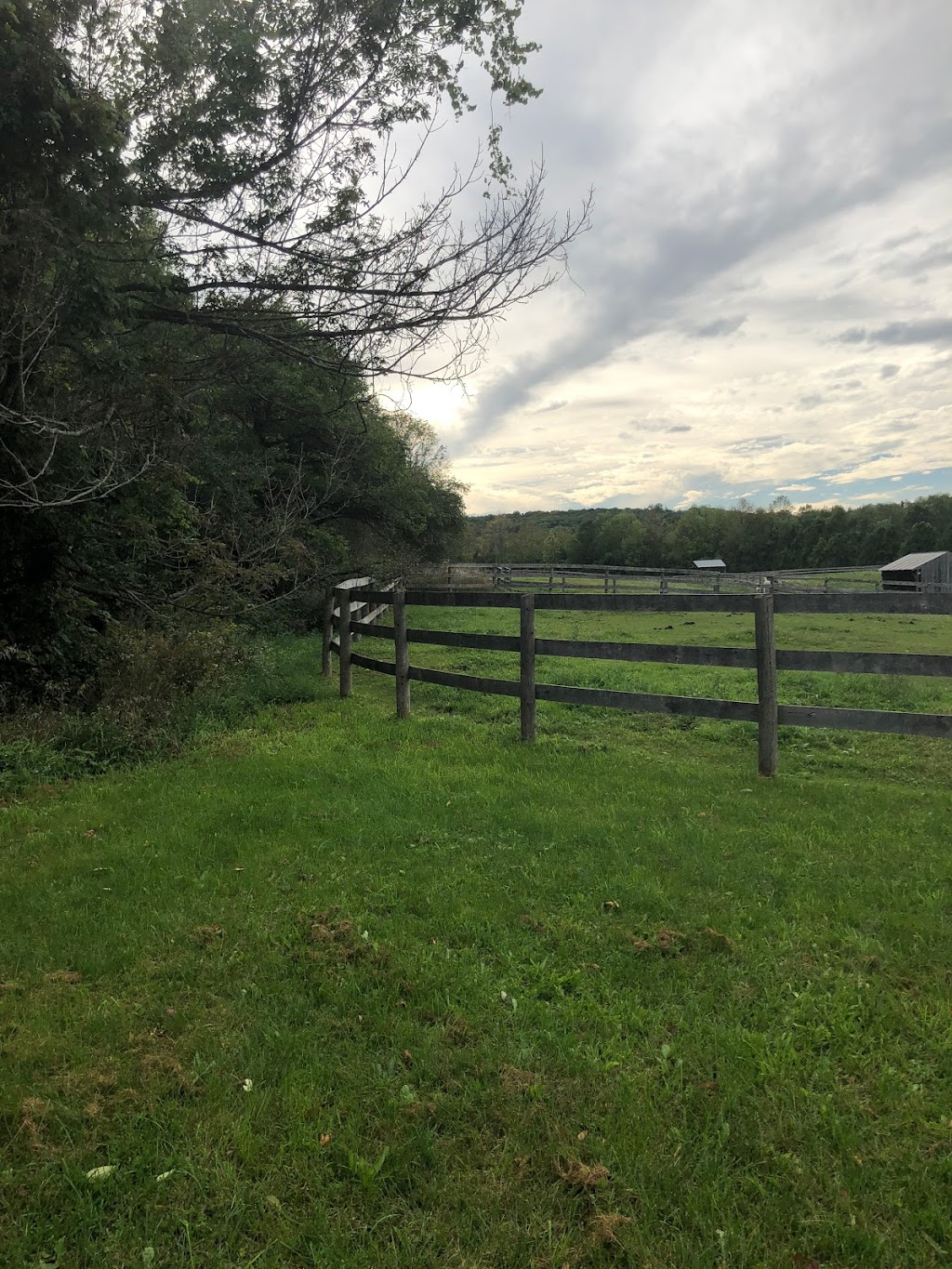 Cantercall Riding School | 993196 Mono Adjala Townline, Mono, ON L9W 6H3, Canada | Phone: (416) 892-3612