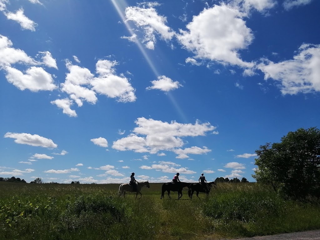 Shiloh Hill Farm | 6520 Shiloh Rd, Newtonville, ON L0A 1J0, Canada | Phone: (905) 925-4558