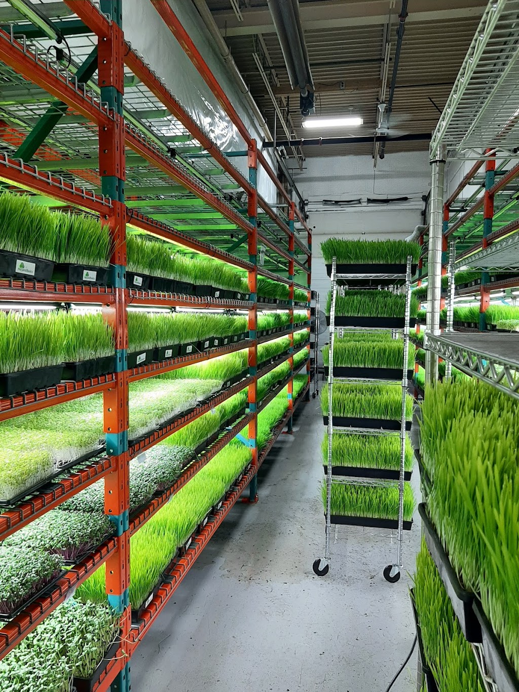 Natures Roots | 624 Welland Ave, St. Catharines, ON L2M 5V6, Canada | Phone: (905) 641-5495