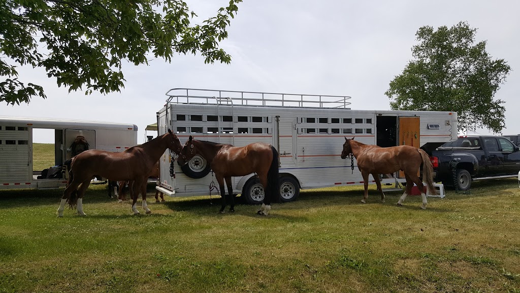 Fox Den Farms | 13601 Leslie St, Richmond Hill, ON L4E 1A2, Canada | Phone: (905) 888-1115